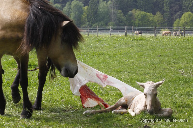 Hjoerdis 10 Min alt (7).JPG